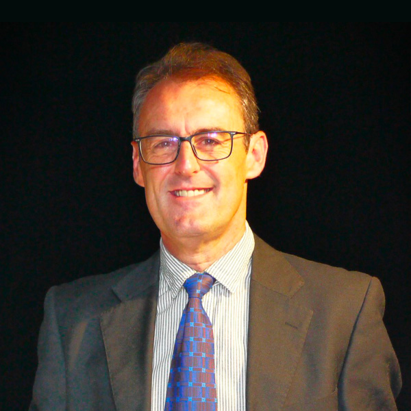 D. Diego Villavilla Soria